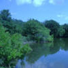 jonathan_g_iwwb